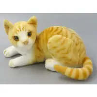 Plush - Cat