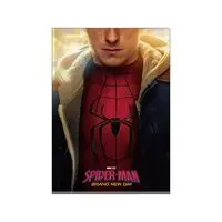 Stationery - Plastic Folder (Clear File) - MARVEL / Spider-Man (character)