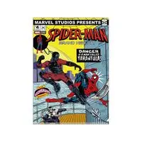 Stationery - Plastic Folder (Clear File) - MARVEL / Spider-Man (character)