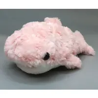 Plush - Whale shark