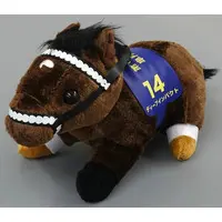 Plush - Super Thoroughbred