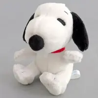 Plush - PEANUTS / Snoopy