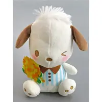 Plush - Sanrio / Pochacco