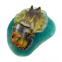 Trading Figure - 3D Capsule Encyclopedia