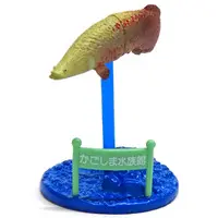 Trading Figure - Kagoshima Aquarium