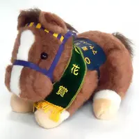 Plush - Thoroughbred collection