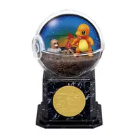 Terrarium Collection - Pokémon / Diglett & Charmander