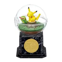 Terrarium Collection - Pokémon / Caterpie