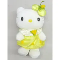 Plush - Sanrio / Hello Kitty