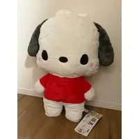 Plush - Sanrio / Pochacco