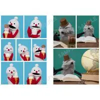 Book - PUPPET SUNSUN