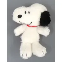 Plush - PEANUTS / Snoopy